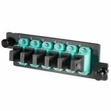 Ortronics Infinium HDFP MPO Adapter Panel, 6 MPO, Aqua - 6 Port(s) - 1U High - Optical Fiber - Aqua...