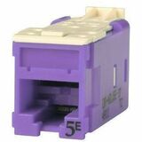 Ortronics Clarity High Density Jack (HDJ) CAT5E, T568A/B, Purple - 1 Pack - 1 x RJ-45 Network -...