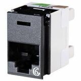 Ortronics Clarity Network Connector - 1 - Dark Gray (PJ600-78)