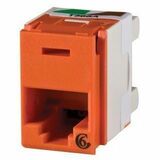 Ortronics Clarity 6 panel jack, rear load, T568A/B, 180 deg, orange - 1 x RJ-45 Network - Female -...