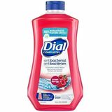 Dial Foam Soap Refill