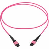 Eaton Tripp Lite Series 100G Multimode 50/125 OM4 Fiber Optic Cable (12F MTP/MPO-PC F/F), OFNP, Magenta, 2 m (6.6 ft.), TAA