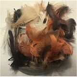 DBLG Import Assorted Autumn Color Feathers