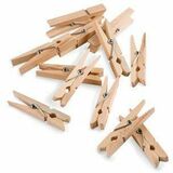 DBLG Import Clothes Pins with Spring