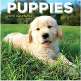 TF Publishing 2026 Puppies Mini Calendar - Mini - Monthly - 12 Month - January 2026 to December 2026 - 7" (177.80 mm) x 7" (177.80 mm) Sheet Size - Wall Mount - Multi - Paper