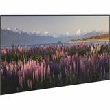 Da-Lite Parallax Thin 100" Fixed Frame Projection Screen