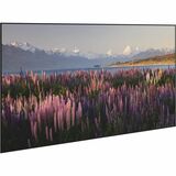 Da-Lite Parallax Thin 120" Fixed Frame Projection Screen