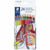 Staedtler Colouring Pencils - 24 / Pack