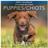 Calendrier mural Mead&reg; 2027 de 16 mois, Chiots