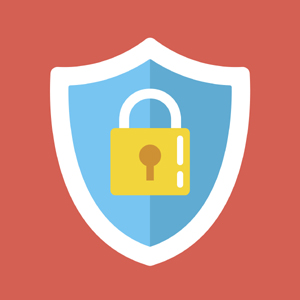 <b>Security</b></br>
Consumers are more concerned with data security than ever, and while cloud storage can be convenient, it is susceptible to breaches and failures. Storing important information on physical media lets users take control of their data.