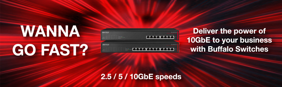 Buffalo BS-MP2012 Multi Gigabit Business Switch – 12 port 10