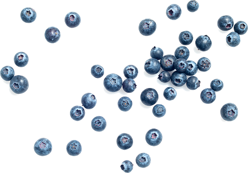 </br></br>blueberry


