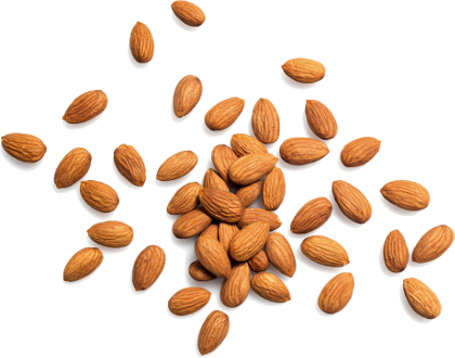 </br></br>almond





