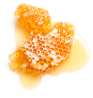 </br></br>honey




