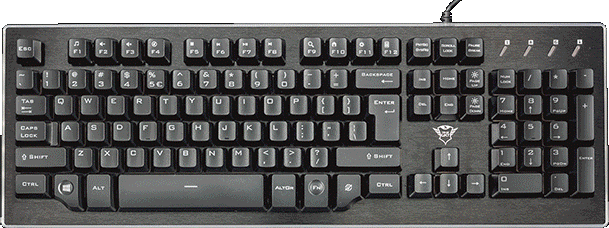 Succeed with flying colours