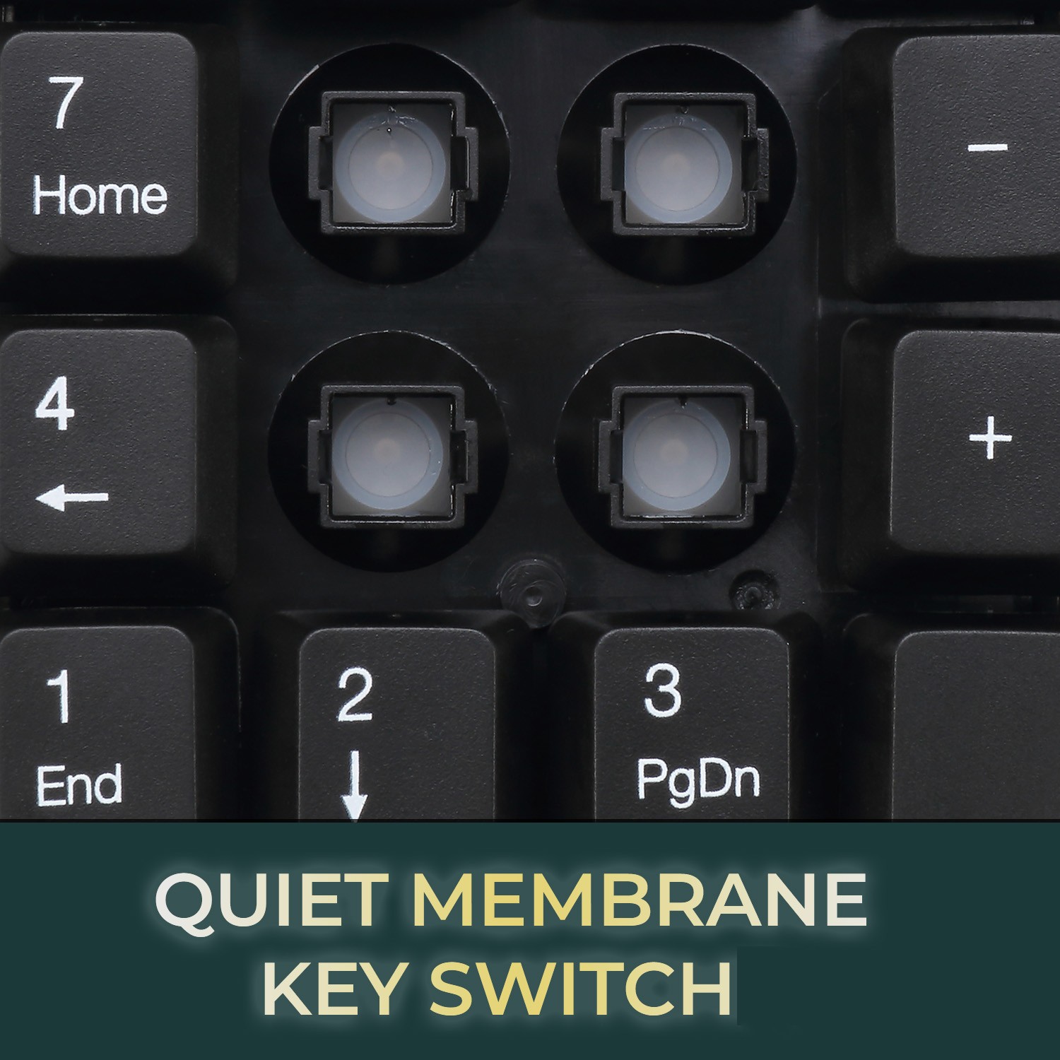 Membrane Key Switches