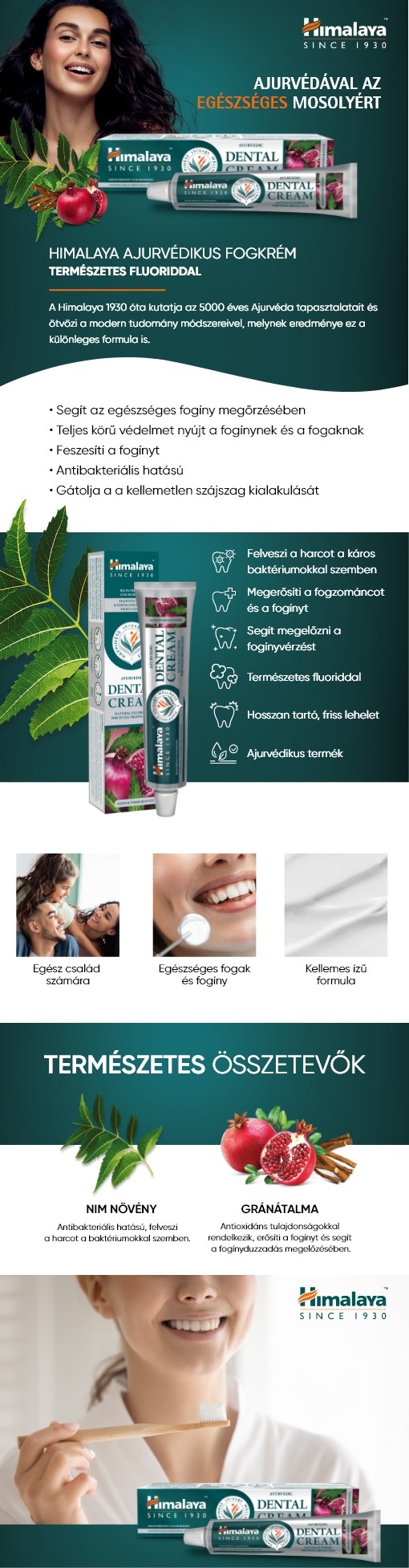 Description of the image