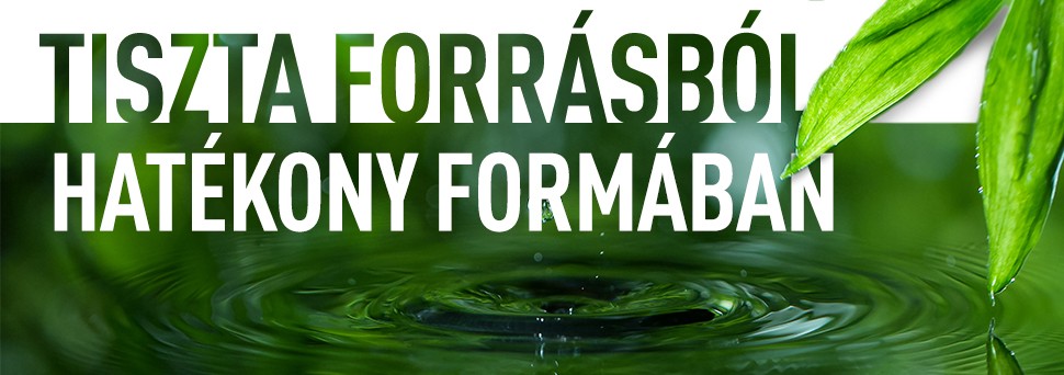 Description of the image