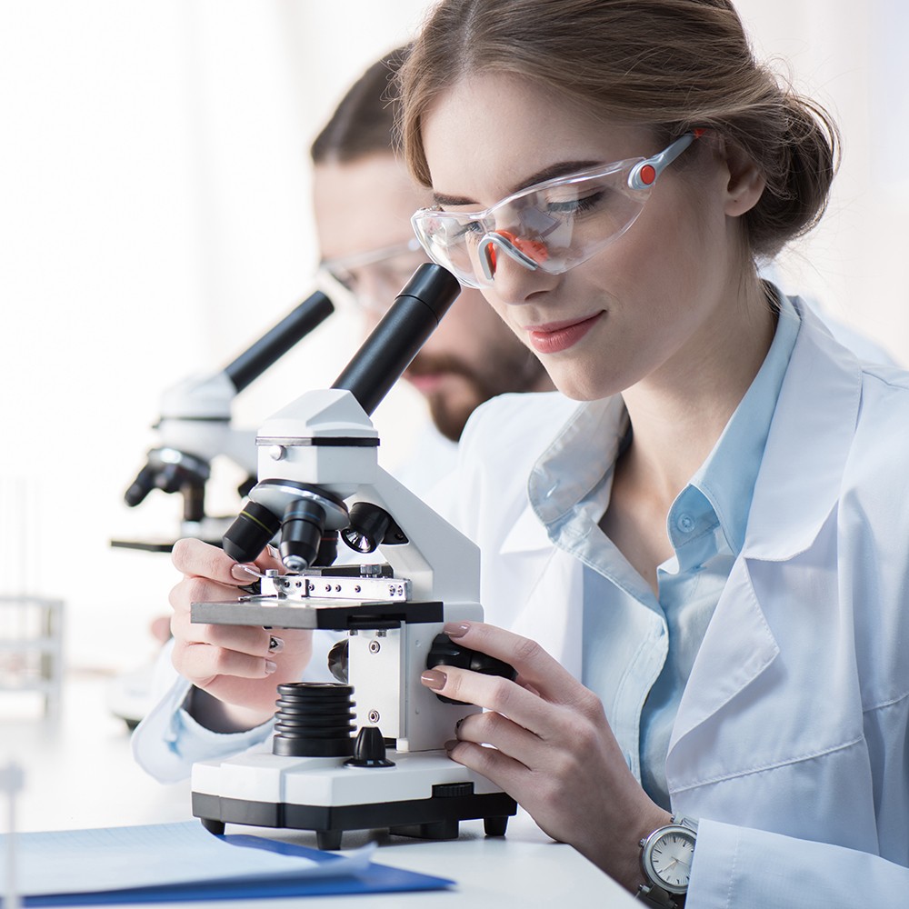 Description of the image