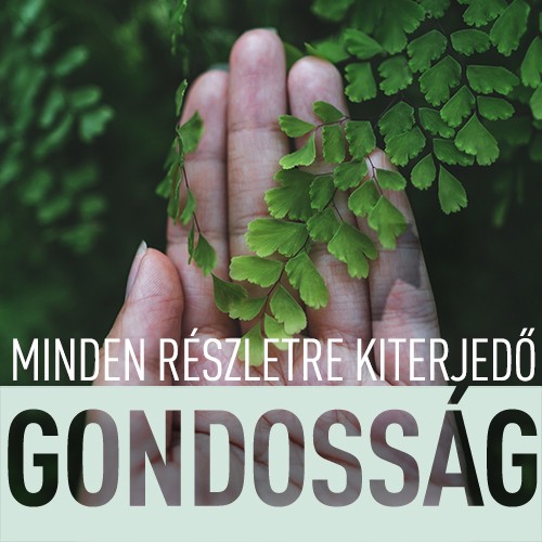 Description of the image