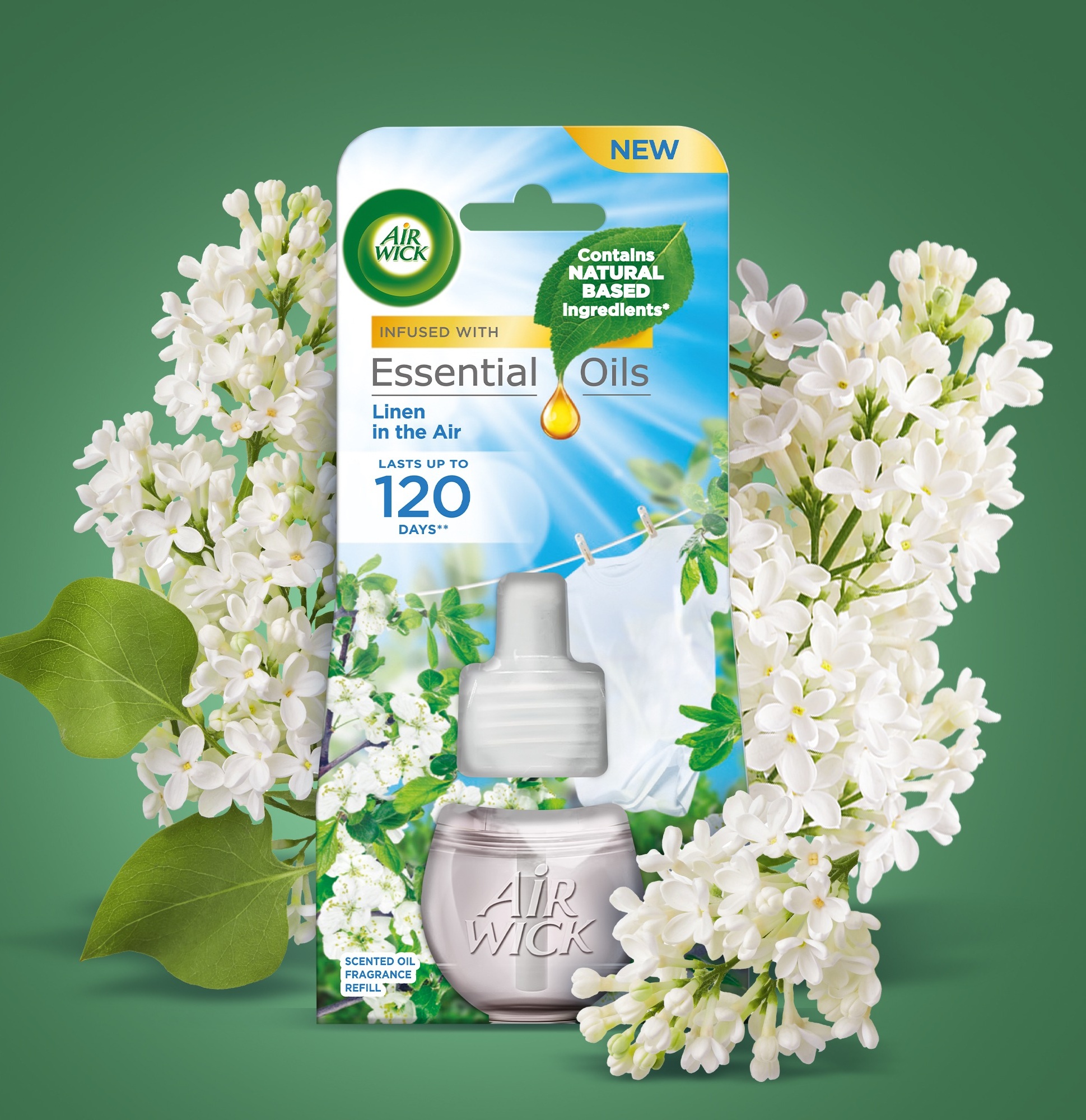 Description of the image