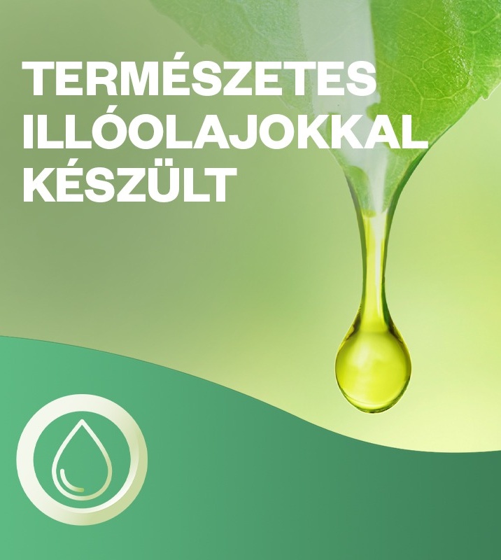 Description of the image