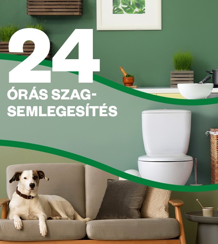 Description of the image