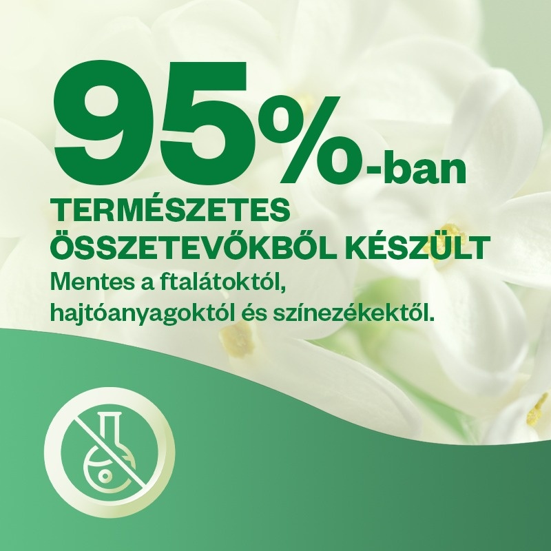 Description of the image