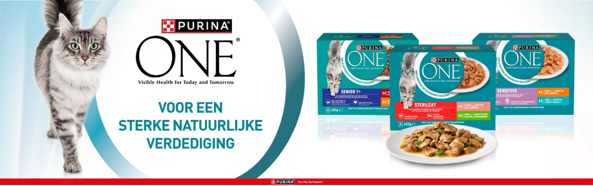Purina One Droogvoer Voor Katten