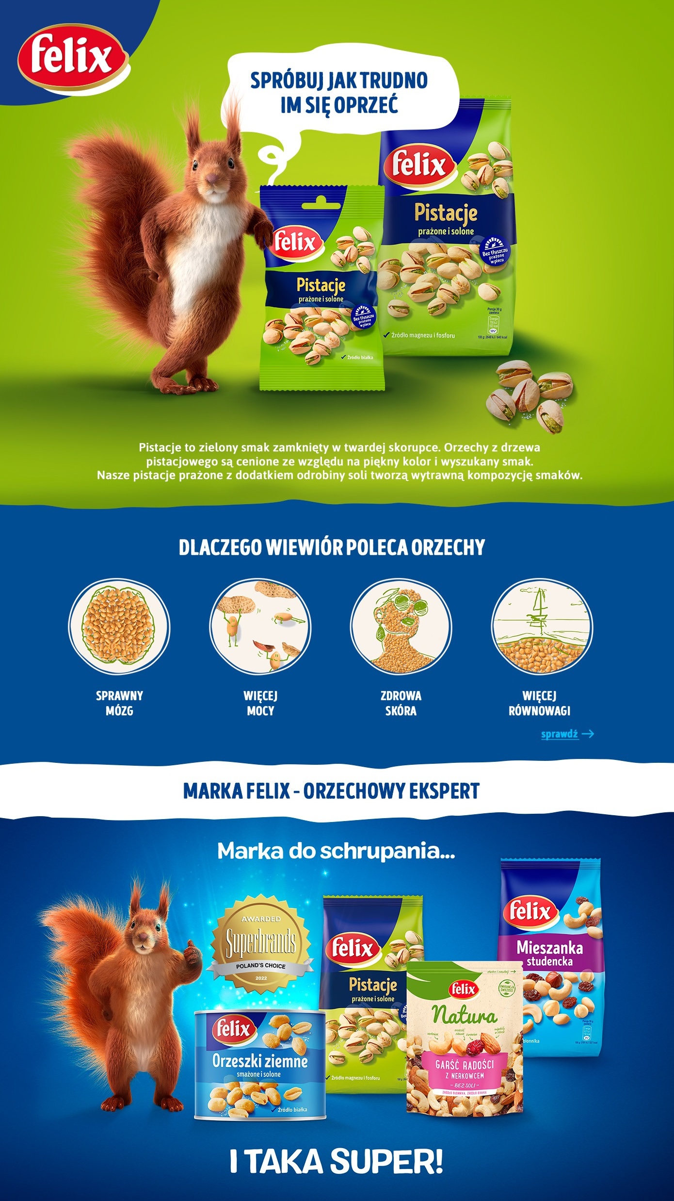 Description of the image