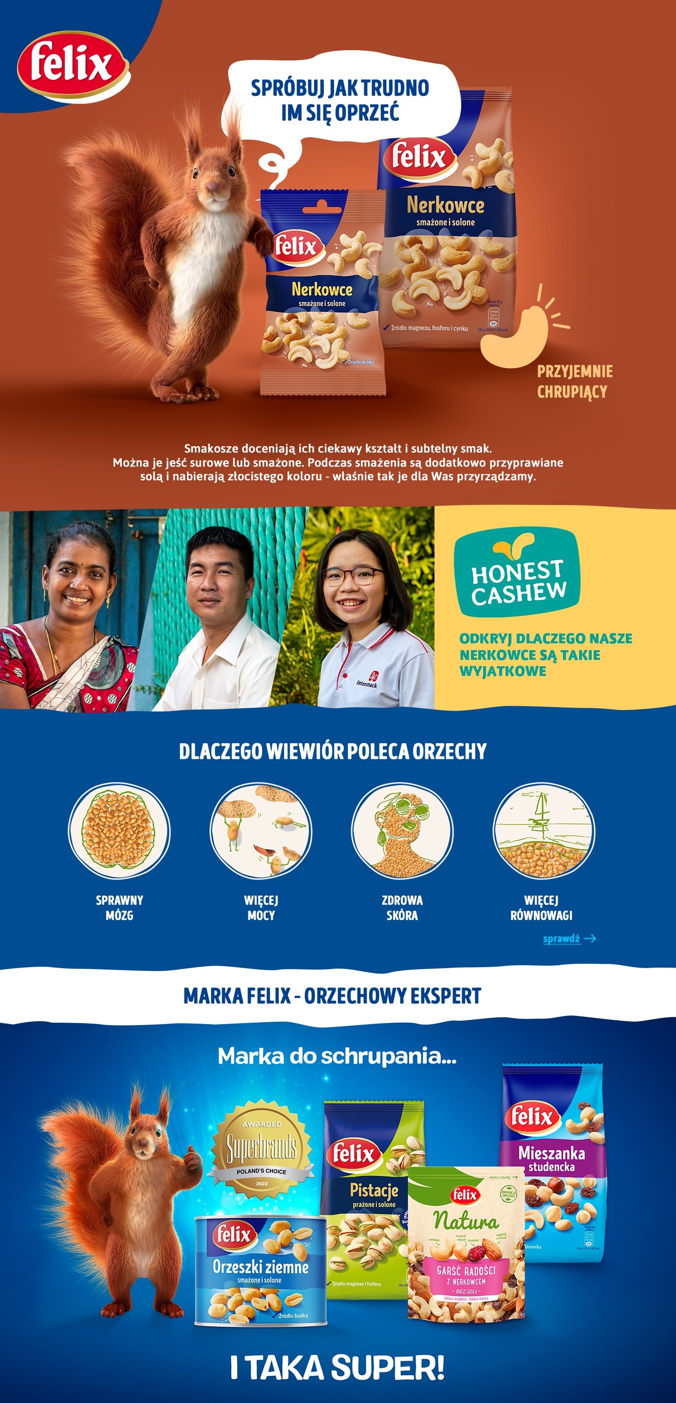 Description of the image