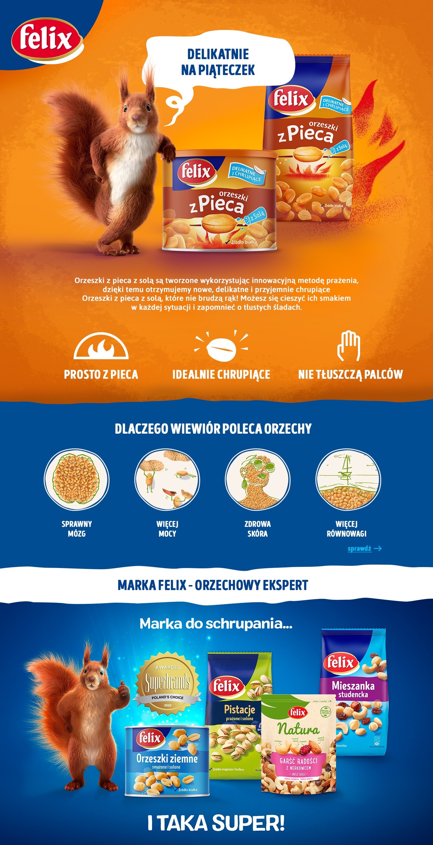 Description of the image