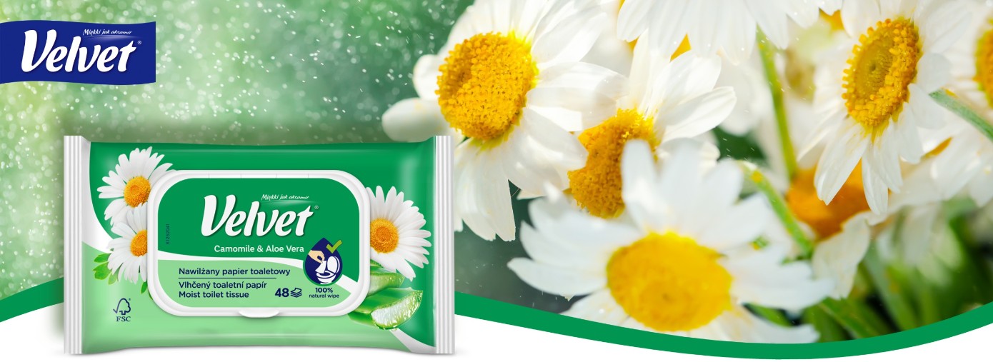 Description of the image