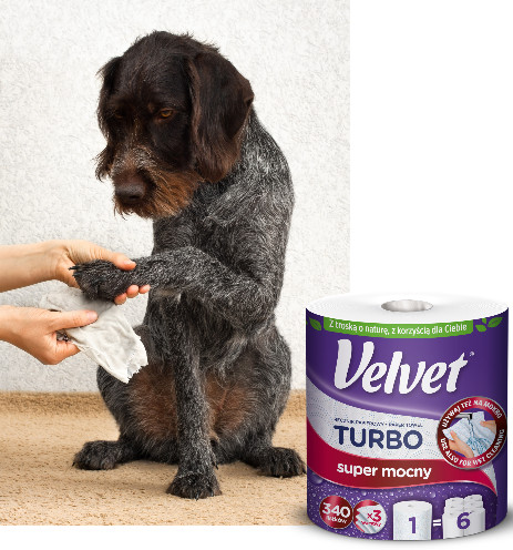 Description of the image