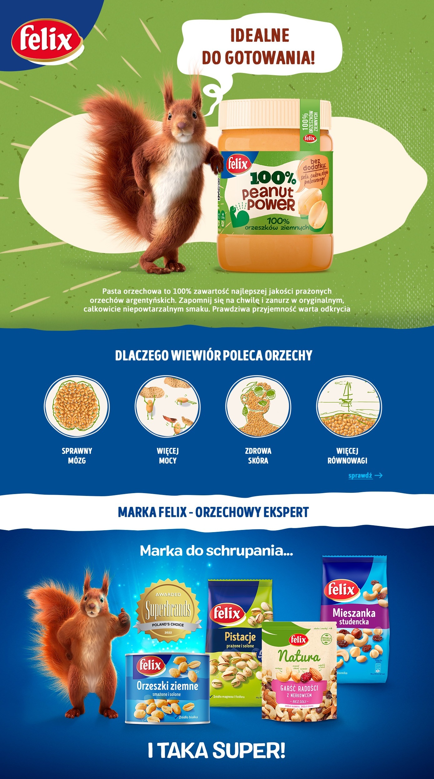 Description of the image