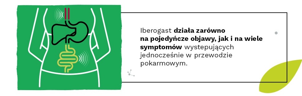 Description of the image