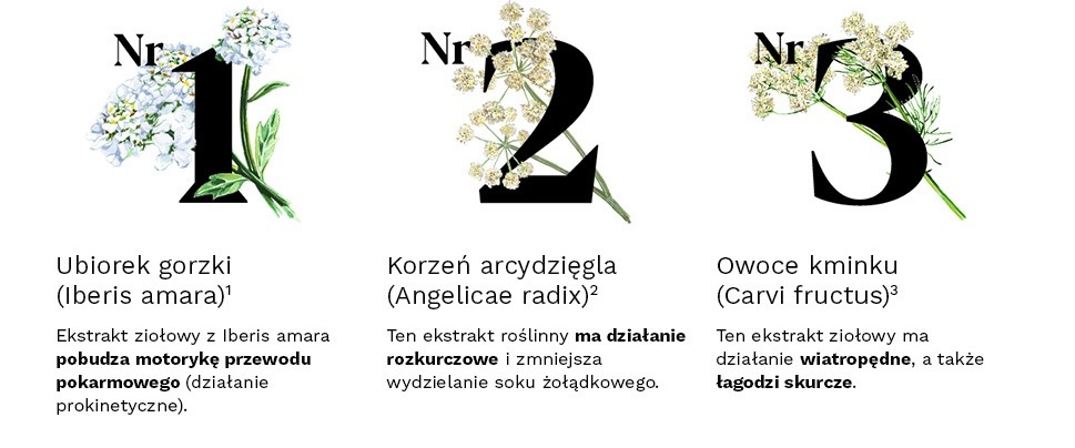 Description of the image