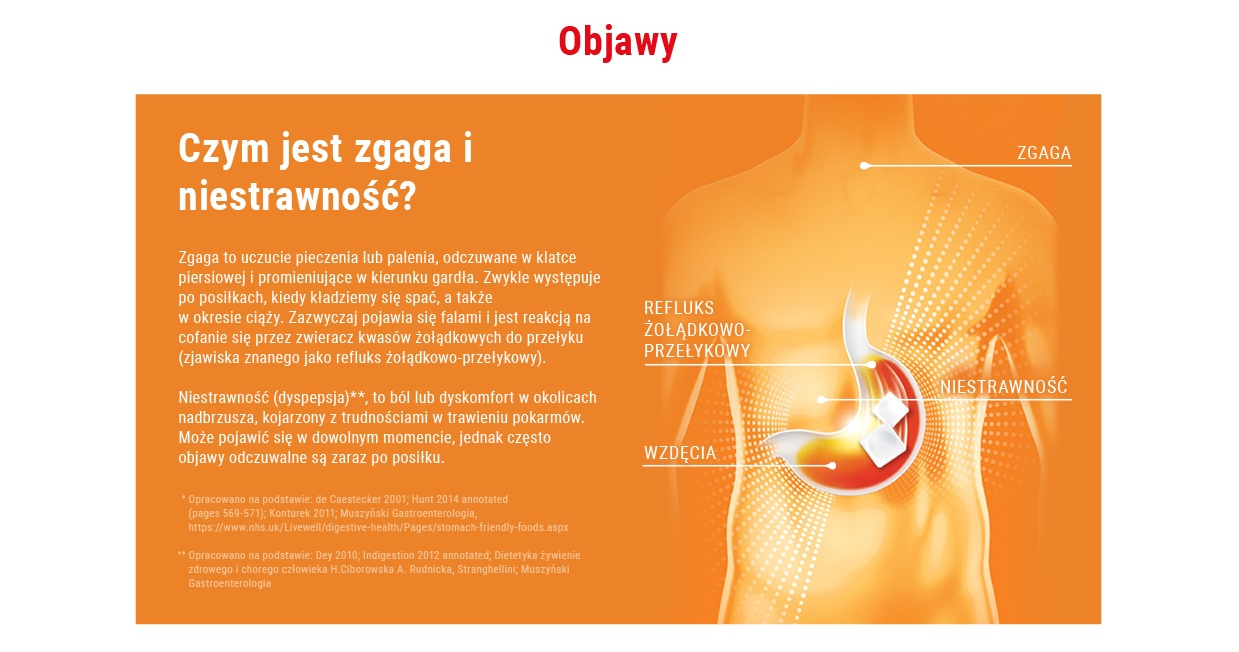 Description of the image