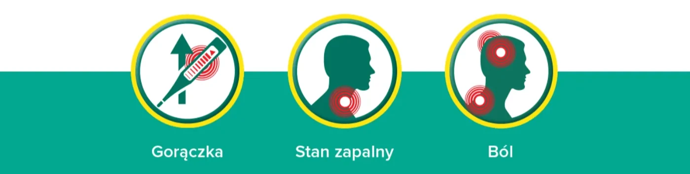 Description of the image