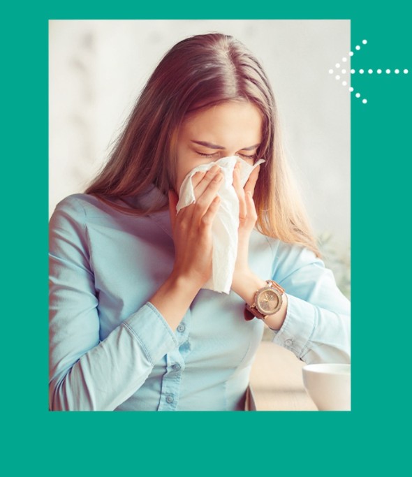 Description of the image