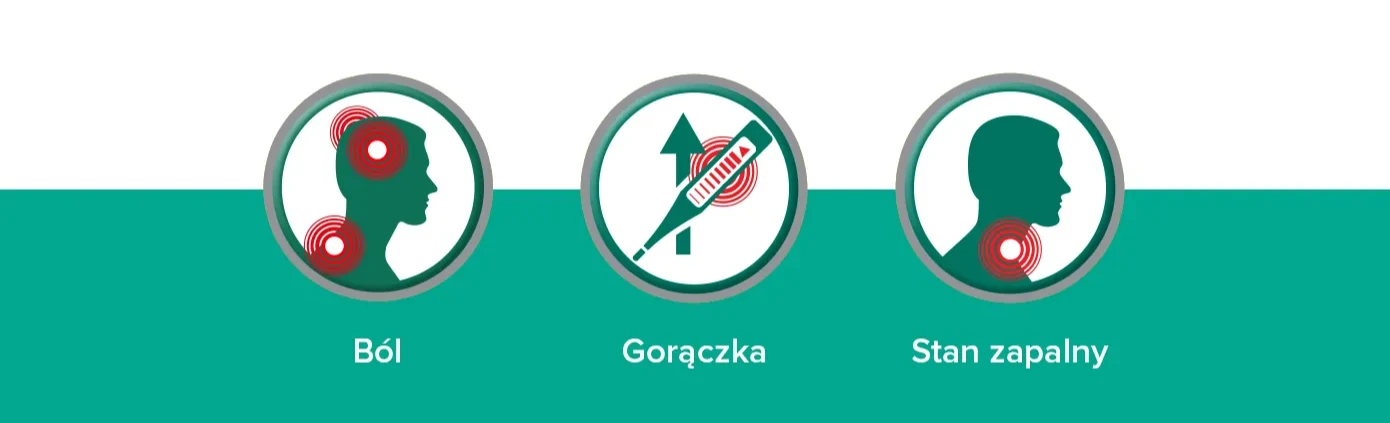 Description of the image