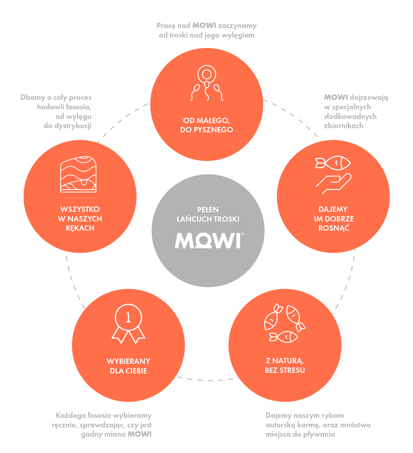 Description of the image