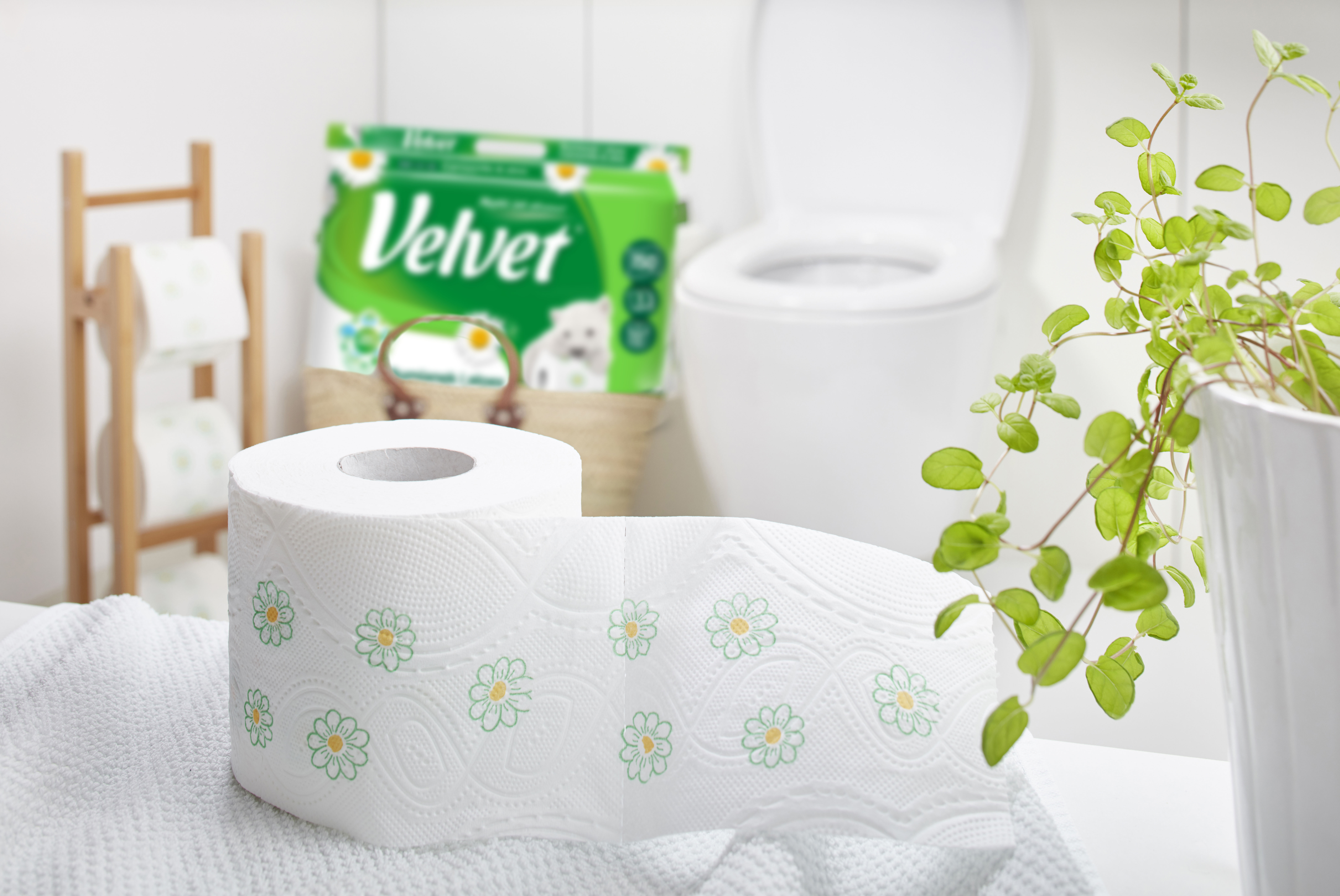 Description of the image