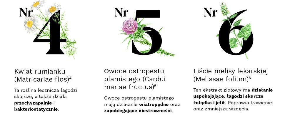 Description of the image