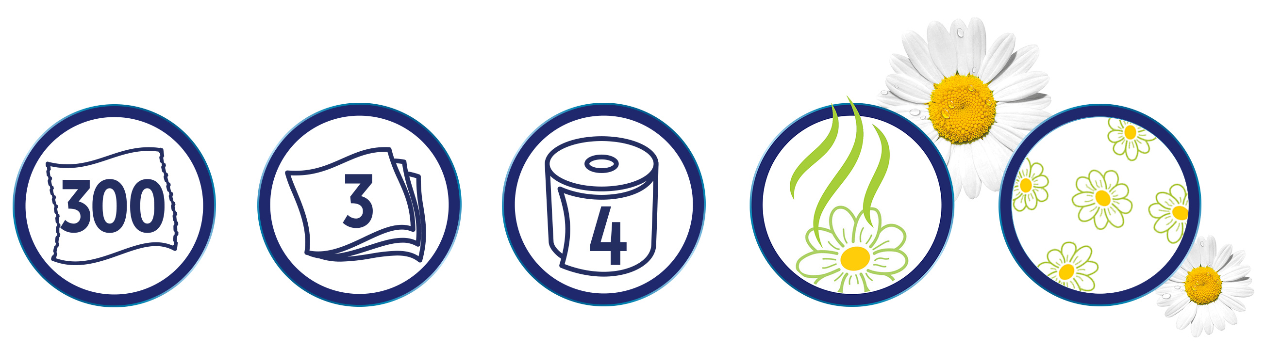 Description of the image