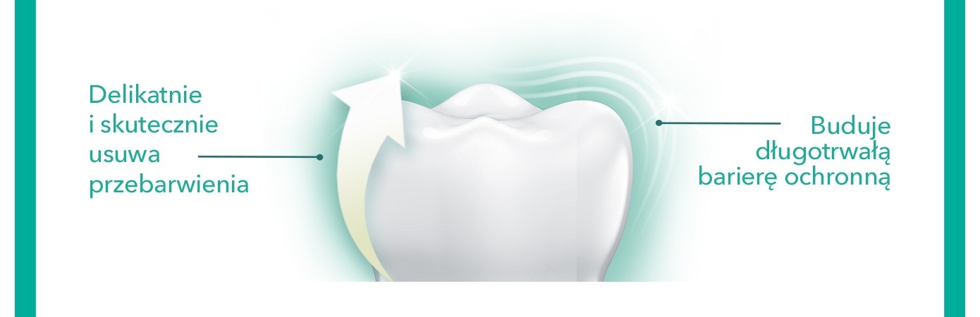 Description of the image