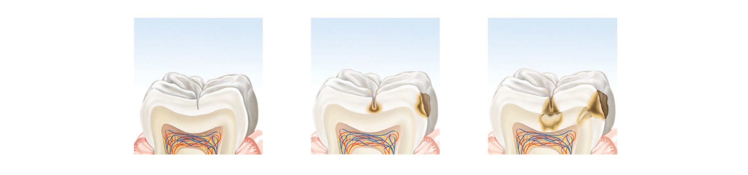 Description of the image