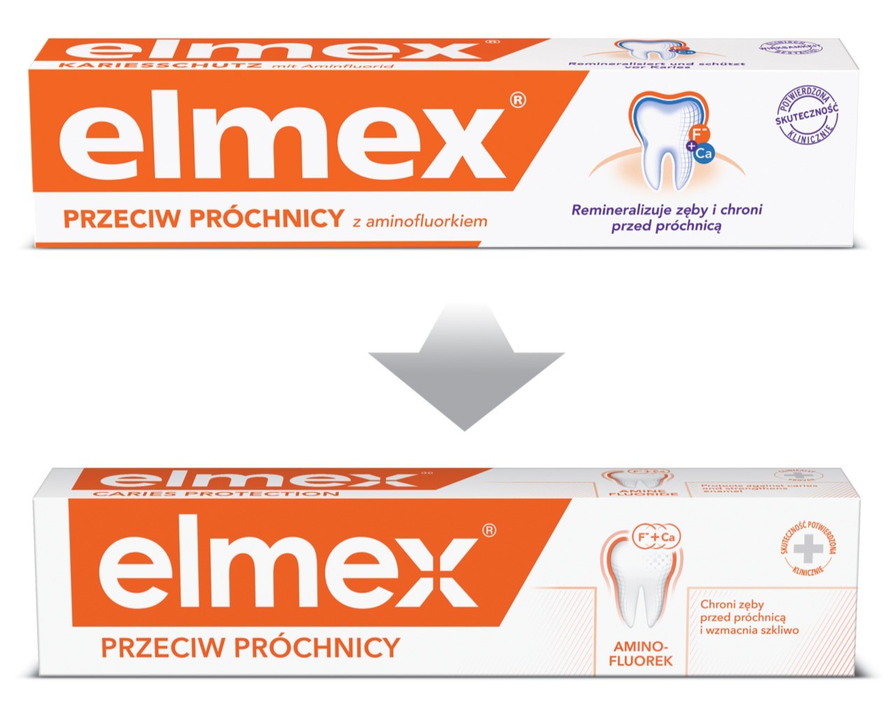 Description of the image