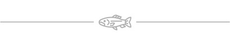 Description of the image