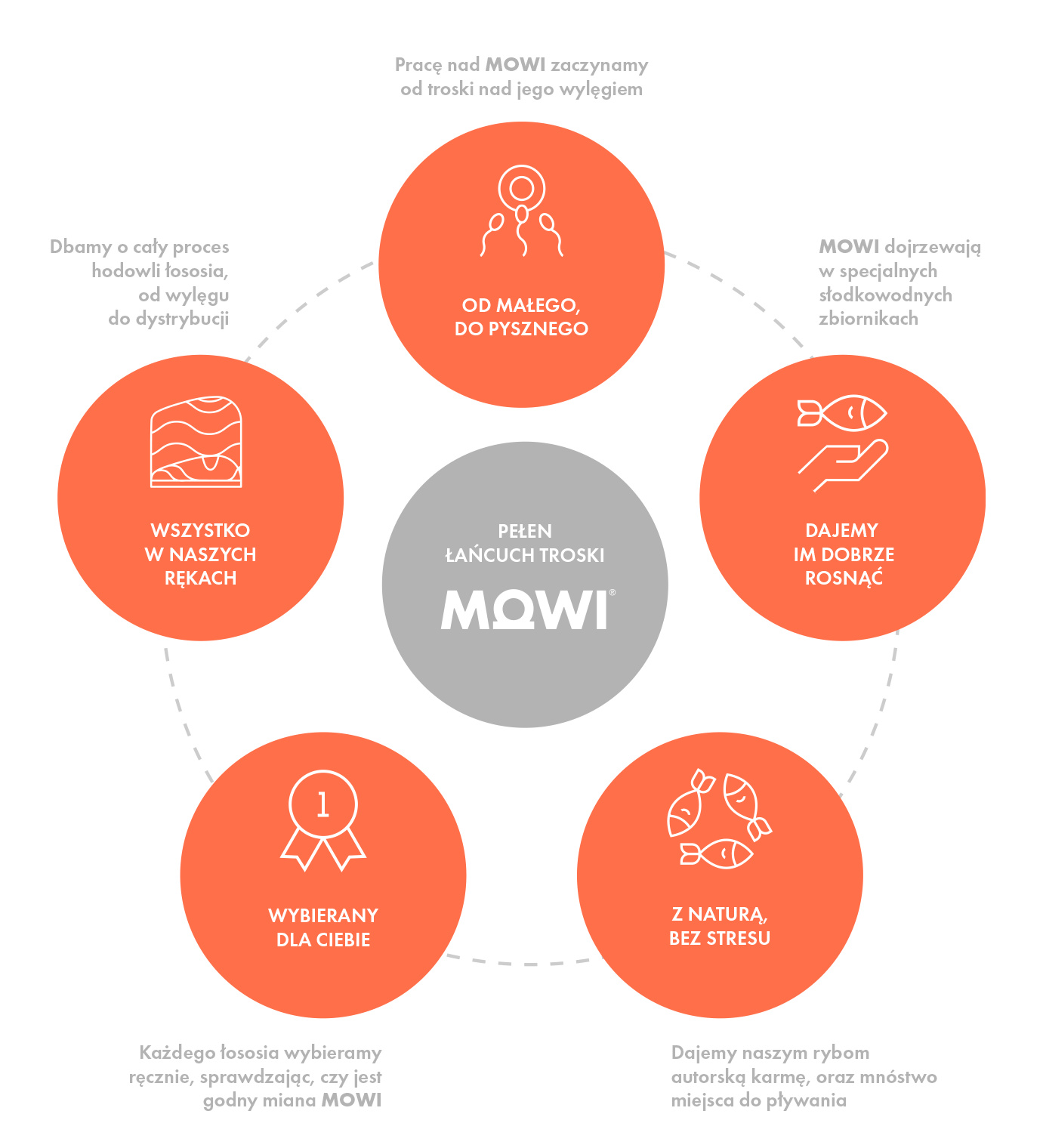 Description of the image